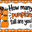 Pumpkin Measurement